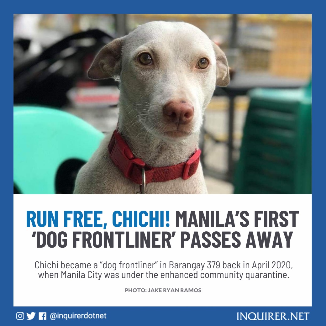 Inquirer tweet media