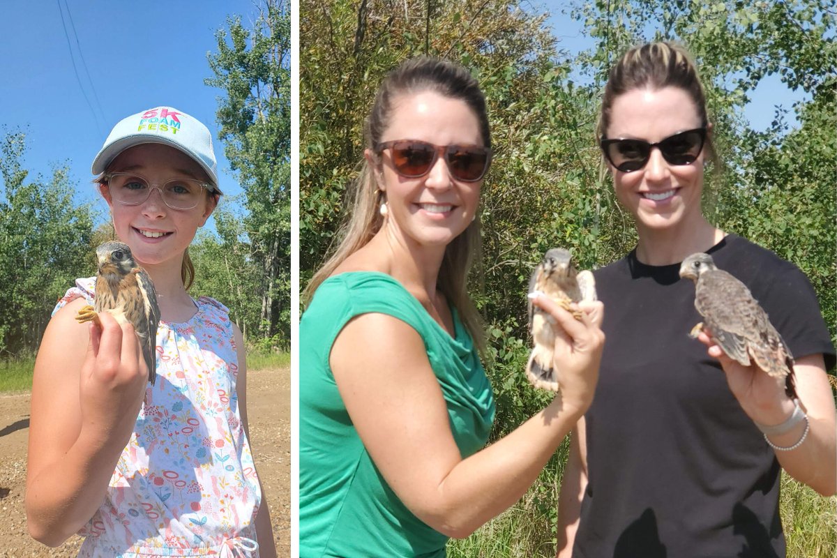 Lafarge_Canada's tweet photo. Last week our team and special guests from @NorthSaskRiver and @GreenEconomyCa banded American kestrel chicks and confirmed their migration paths.
Check out these little ones! #BuildForAll #Biodiversity #SustainableBusiness https://t.co/RzLIzzgiqC