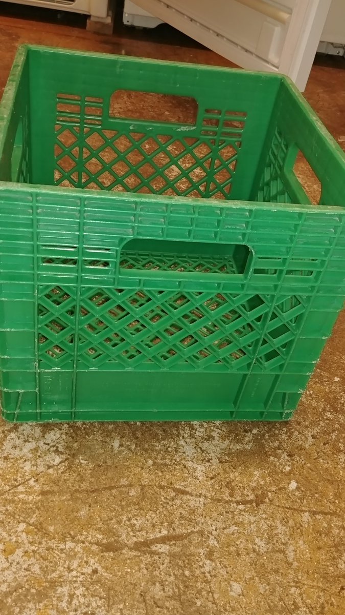 MmeSoltesz's tweet photo. Ms Ashley found some math while handing out snacks today! How many cartons of milk did she put in this milk crate? 

@dsbn @DSBNSummerHEAT #summerheatVWY https://t.co/0sPYDvQeEf