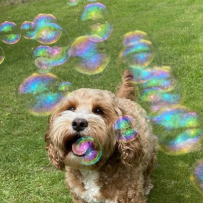 parker_chops's tweet photo. #NewProfilePic https://t.co/T8qYqCopDl
