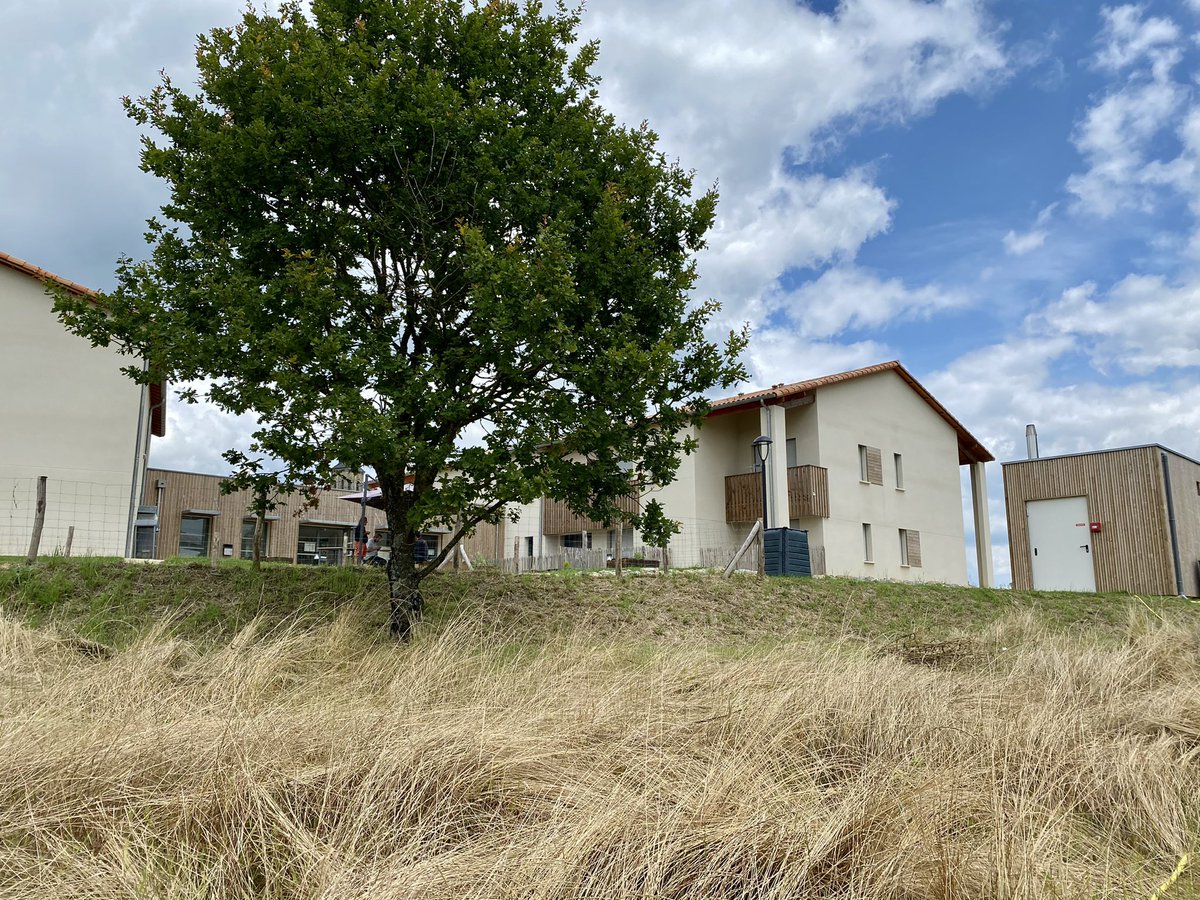 GuillaumeChiche's tweet photo. Visite de la Résidence Accueil La Bazonnière à #SaintPardouxSoutiers.
 
Portée par l’@UdafDeuxSevres et la commune, elle permet aux personnes en situation de fragilité d’être accompagnées, de retrouver un environnement serein et un rythme adapté à leurs besoins, en milieu rural. https://t.co/D9BGmzDaXp
