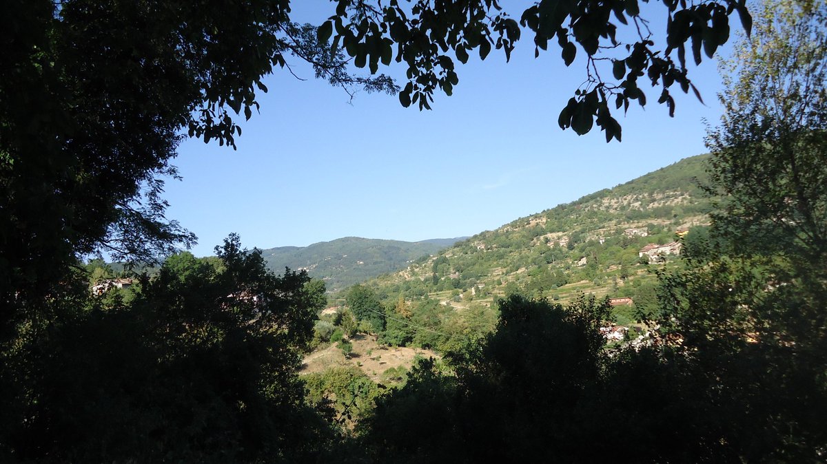 Strada in Casentino, Italy 🇮🇹

#tft #traveltheworld #stradaincasentino #tuscany #thephotohour #travel #stormhour #casentino #italiy #tuscan #traveller #italia #travelbytrain #photographer #photography #travelphotography #landscapephotography