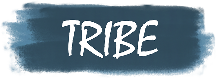 Tribe tweet media