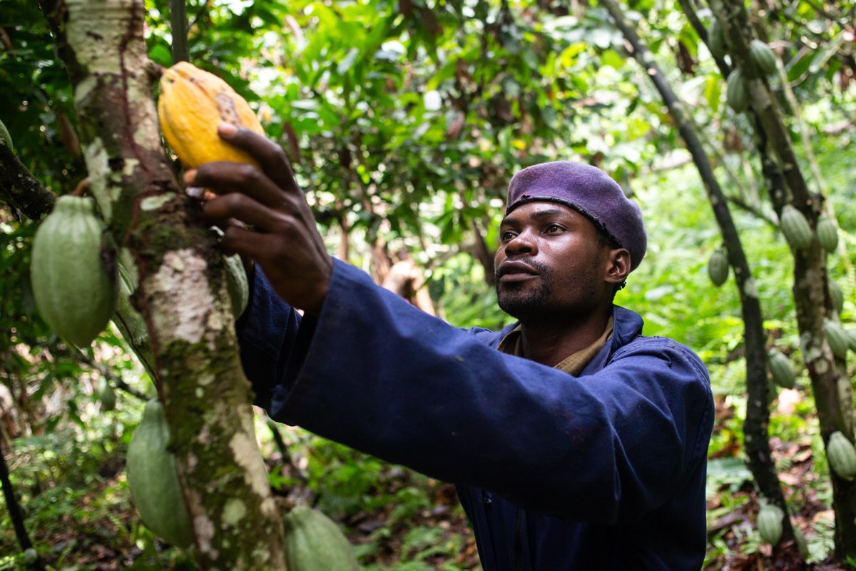 Meet one of the #EquatorPrize 2021 winners!
Community based Tropical Forest and Rural Development from 🇨🇲 promotes cocoa-based agroforestry and the collection of forest products for better local incomes while protecting a vulnerable forest.
#LocalAction #NatureForLife
@JLStalon