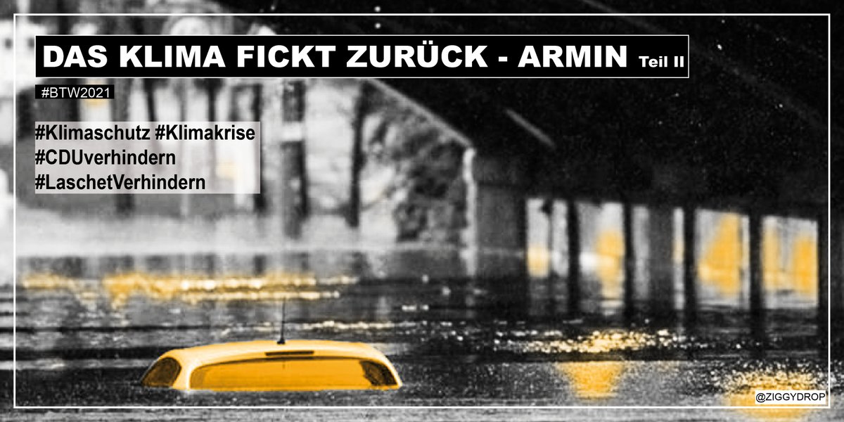 DAS KLIMA FICKT ZURÜCK - ARMIN Teil 2

Auto unter Brücke bis kurz unter Dach im Wasser