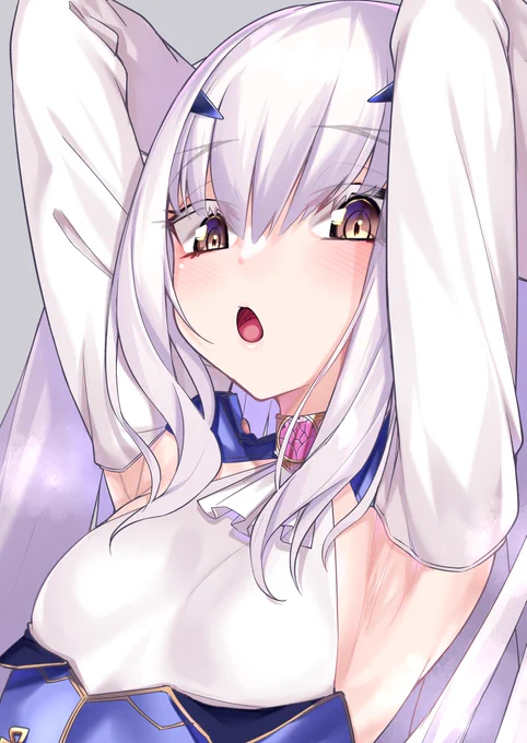 この腋で騎士は無理でしょ…! 