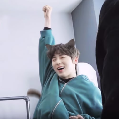 minhyun_a's tweet photo. 우리 황미냥 찾았나요 https://t.co/Of692UlPF4