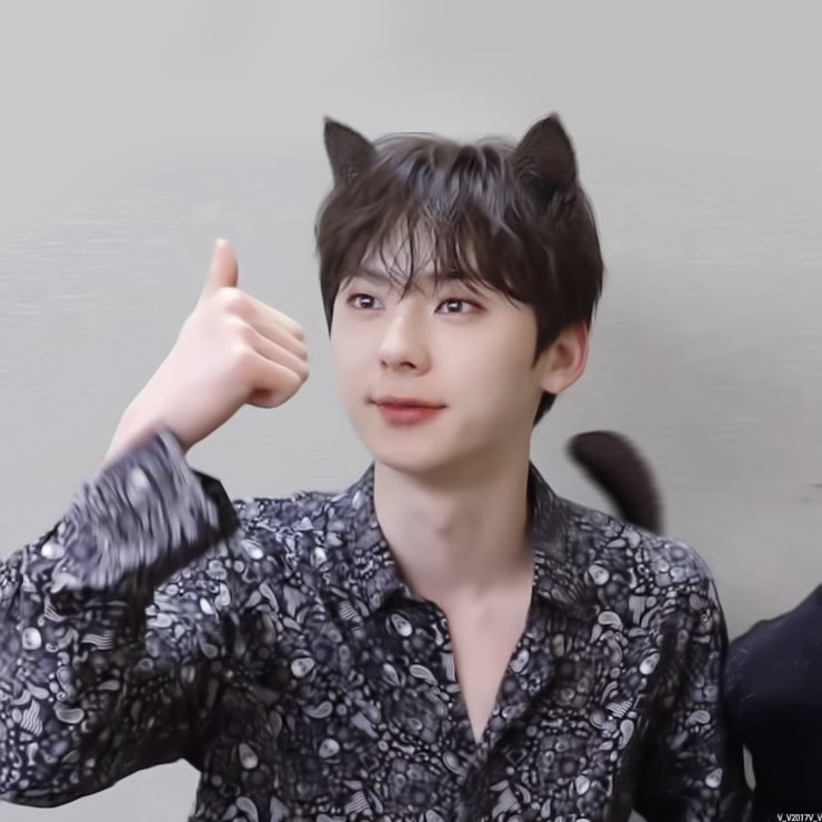 minhyun_a's tweet photo. 우리 황미냥 찾았나요 https://t.co/Of692UlPF4