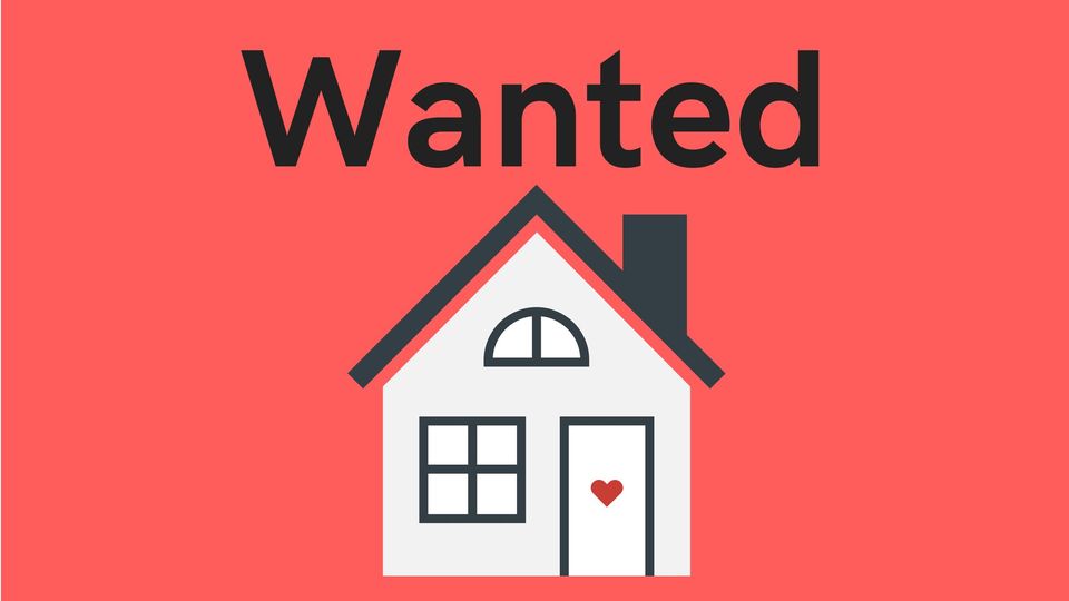 Calling all private landlords – can you help?
We are in desperate need of 3 or 4 bedroom properties to rent in the private rented sector, ideally within one of our five main towns. 1/6