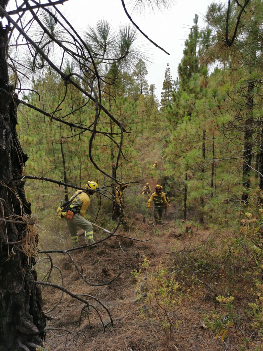 AT_Brif's tweet photo. Semana de entrenamiento específico para los compañeros de @BrifPuntagorda en #LaPalma.
📸Práctica de construcción de linea de defensa con herramienta manual.
"Como se entrena, se juga"💪👨‍🚒⛏️
#IIFF
Somos #BomberosForestales #BRIF de @mitecogob https://t.co/3qUNRXXlr7