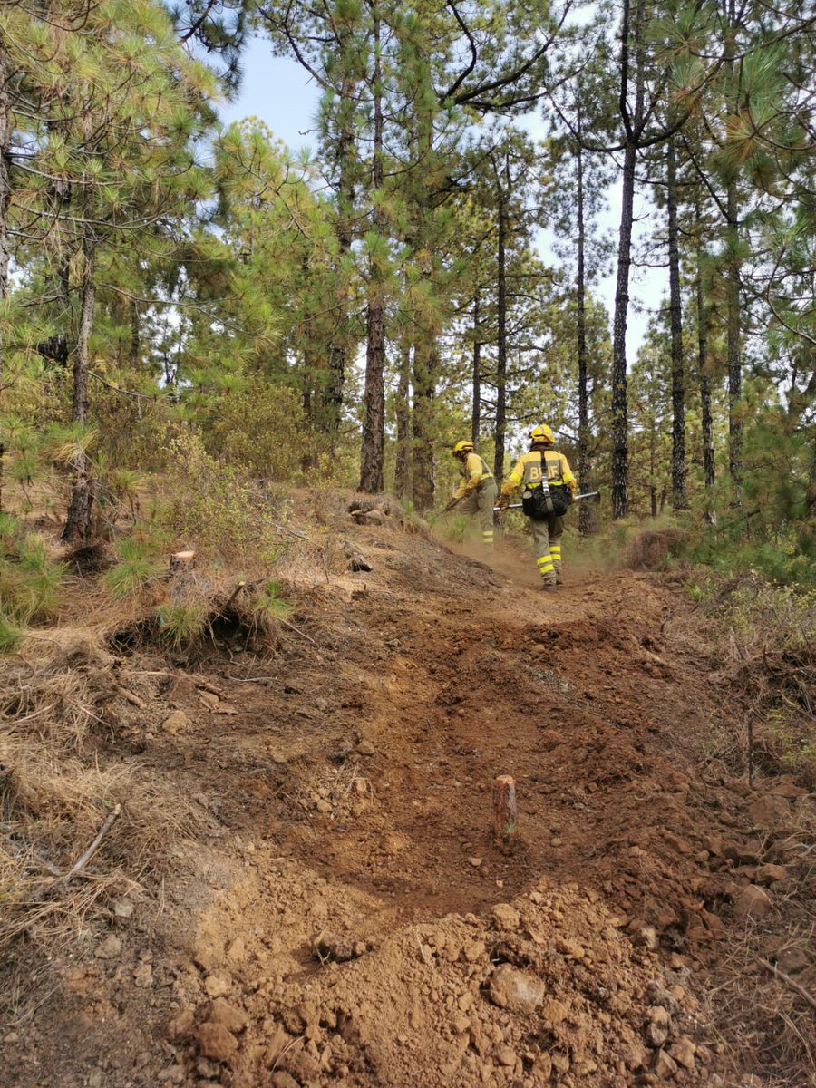 AT_Brif's tweet photo. Semana de entrenamiento específico para los compañeros de @BrifPuntagorda en #LaPalma.
📸Práctica de construcción de linea de defensa con herramienta manual.
"Como se entrena, se juga"💪👨‍🚒⛏️
#IIFF
Somos #BomberosForestales #BRIF de @mitecogob https://t.co/3qUNRXXlr7