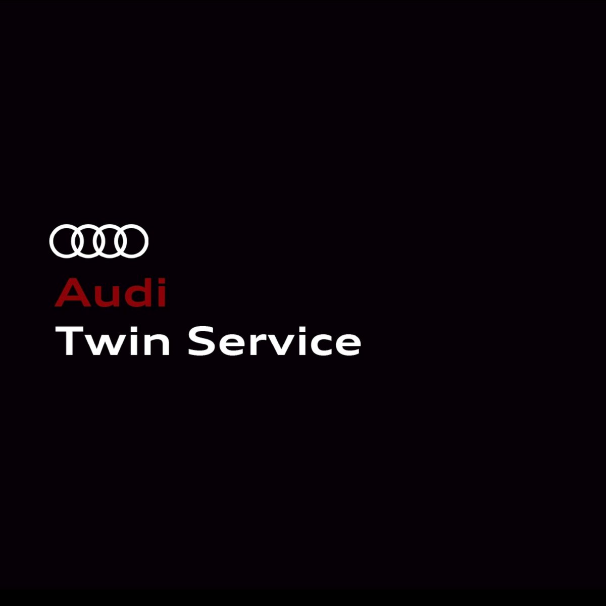 ¿Ver todas las stories o disfrutar de una salida 
exclusiva mientras revisamos tu Audi? En 90 
minutos puedes hacer muchas cosas, pero nada 
como disfrutar de una experiencia exclusiva 
mientras revisamos tu Audi. Escoge entre fan, 
outdoor o business. 

#AudiService #TwinService
