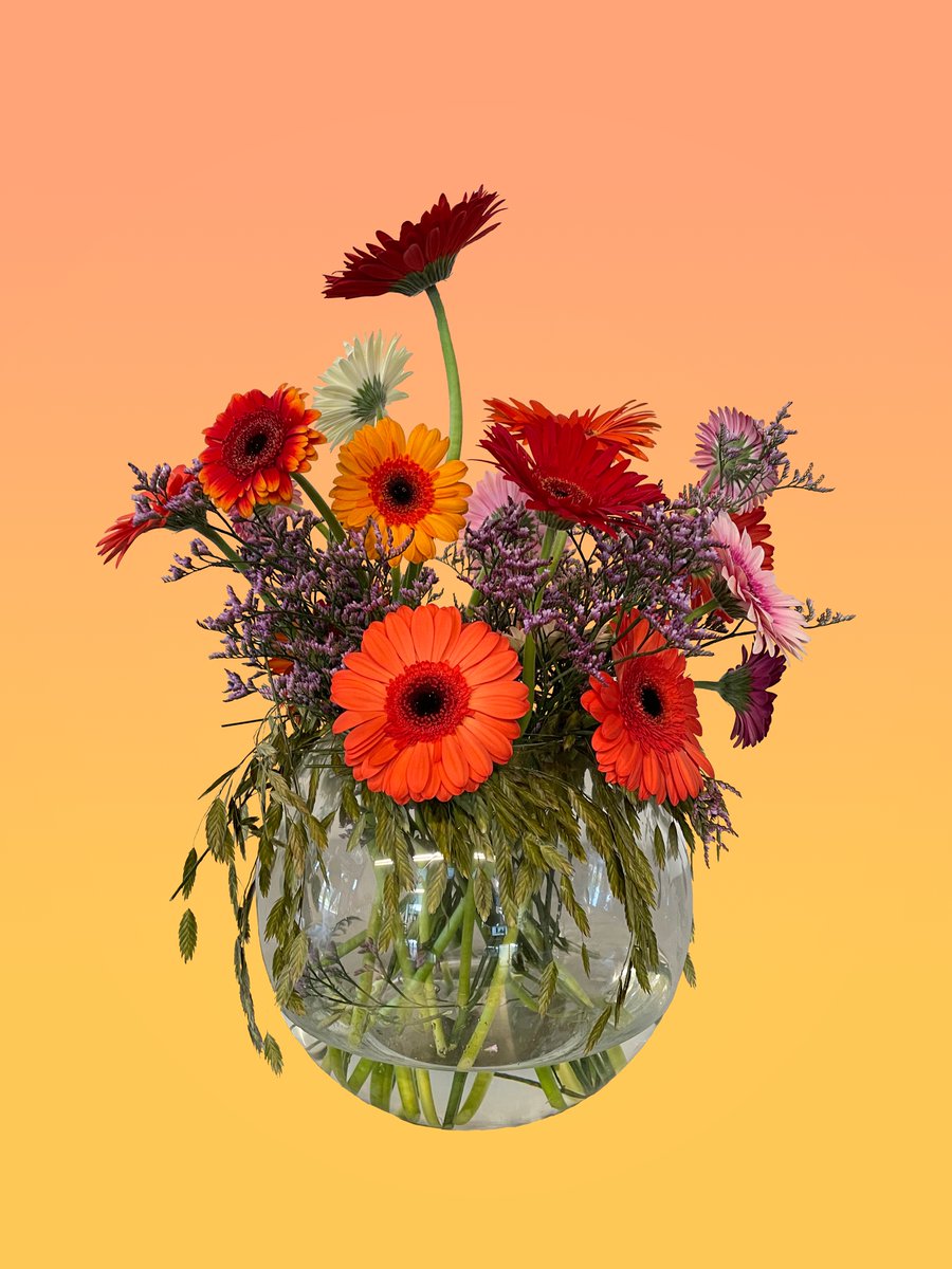 flowercircus_nl's tweet photo. A vase of gerberas is the vase of happiness!๐ฅฐ
Pascal Zijlmans created this sunny arrangement with:
๐ผ Gerbera of different colors
๐ผ Limonium
Watch how this bouquet was created https://t.co/YD7CovkkHG
#FCflowershow #flowerdesign #bouquettutorial #floraltutorial #florallesson https://t.co/SPczGEcF7N