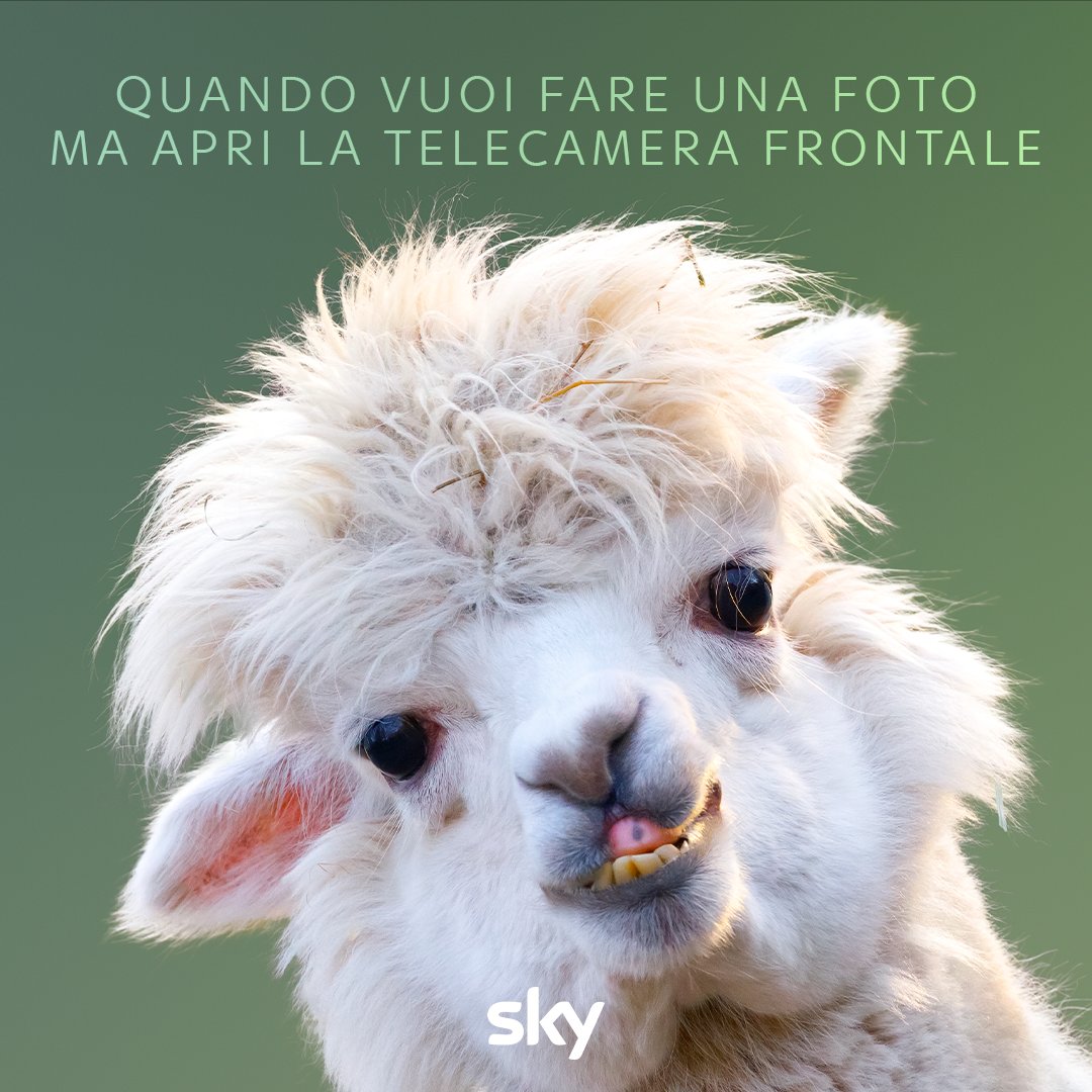 digitalsat_it's tweet image. Amiamo la natura per tanti motivi, uno è sicuramente per i meme che ci regala​

#SkyNature