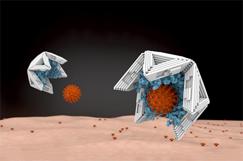 The virus trap: Hollow nano-objects made of DNA could trap viruses and render them harmless bit.ly/3B5Rbvm
