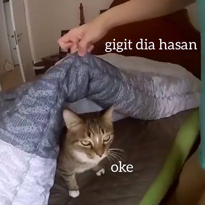 Novani Urifan (@novani14) on Twitter photo 