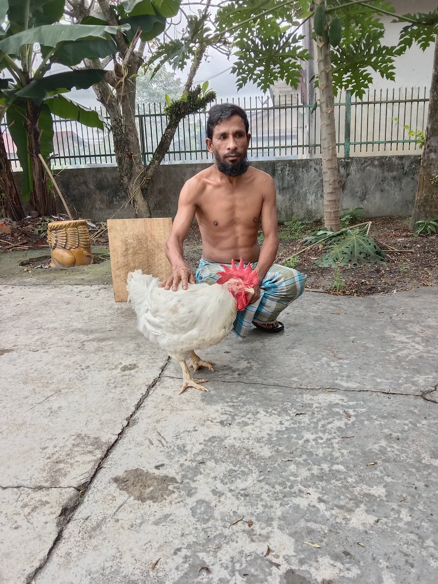 মোঃ সেলিম হোসেন (@ra93765875) on Twitter photo 