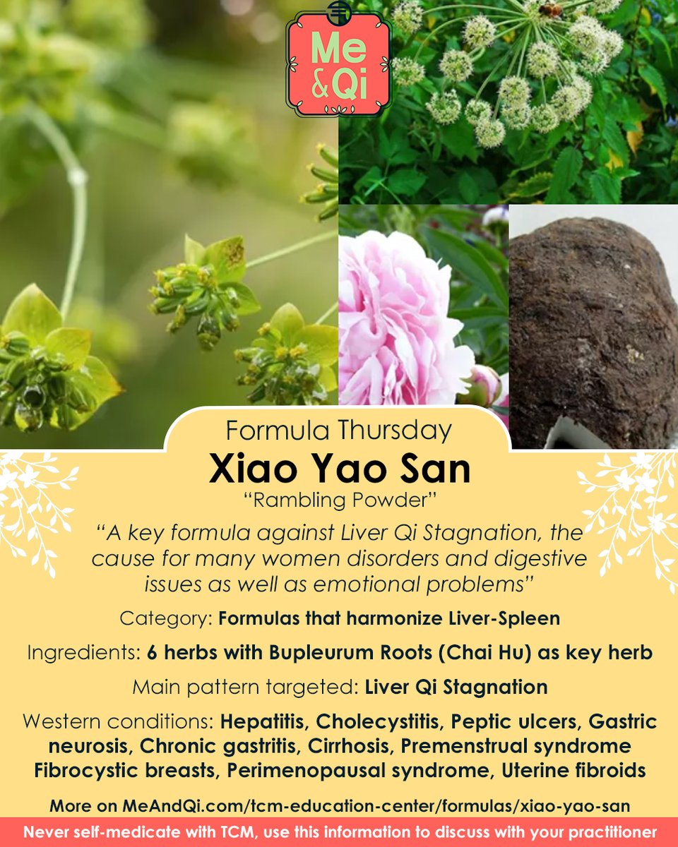 Formula Thursday! Today we look at Xiao Yao San or Rambling Powder: meandqi.com/tcm-education-…

#TCM #acupuncture #herbs #herbalism #naturalist #naturalbody #natural #naturelover