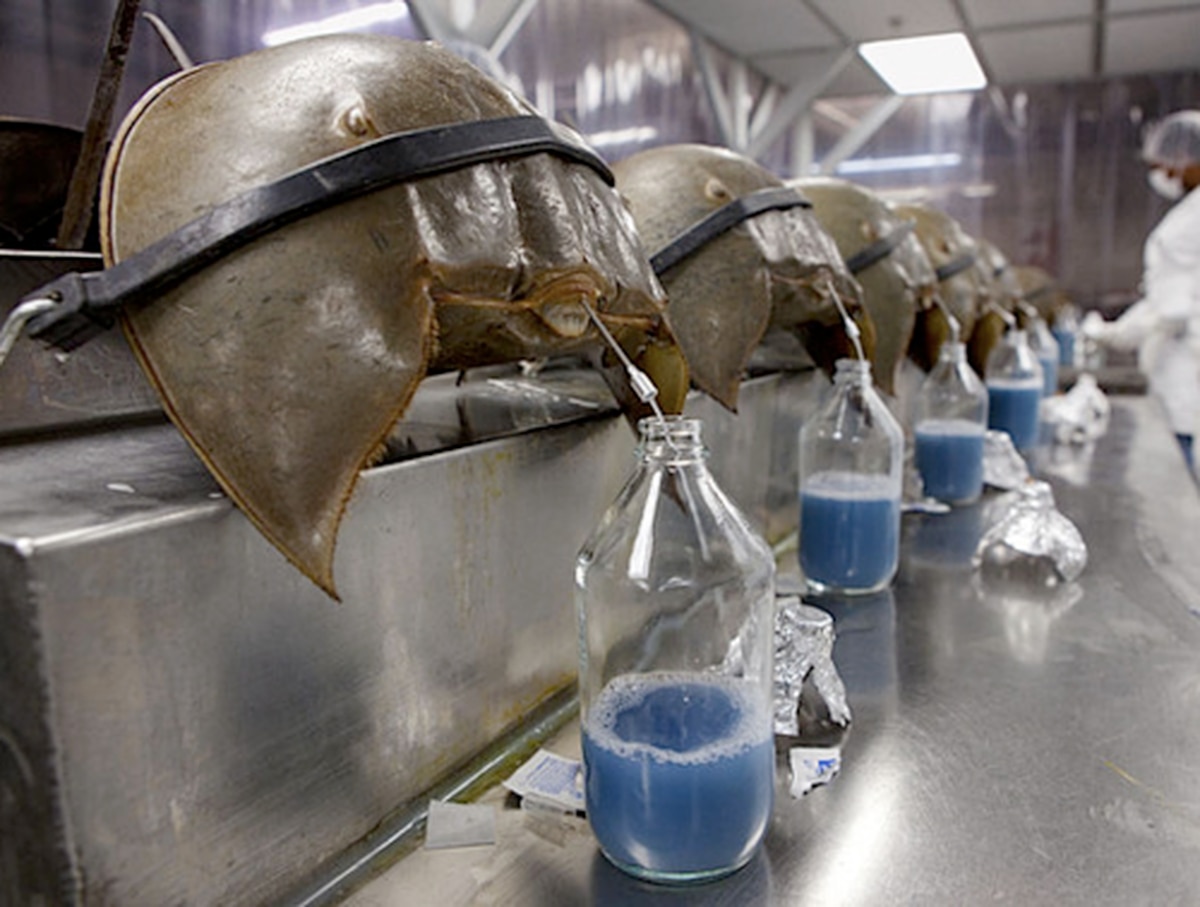 오리넉울 tweet media