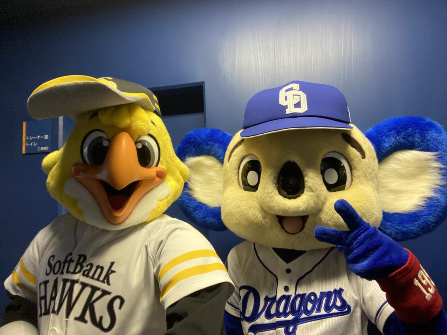 ハリーホーク 公式 そしてもちろん ドアラー Sbhawks フレッシュオールスター ドアラ T Co Czefntjy8w Twitter