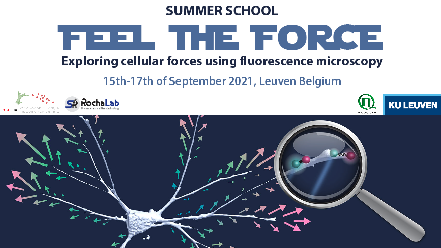 Rocha_Lab's tweet photo. Interested in using fluorescence microscopy to investigate cellular forces? 🔬 Join our summer school this September! Lecture, tutorials &amp; hands-on workshops. More info?👇https://t.co/Zp9TP6D3cF
(co-organized with @MAtrix_KULeuven, with the support of @kuleuvenADS and @PicoQuant) https://t.co/jXs2d2V5hA