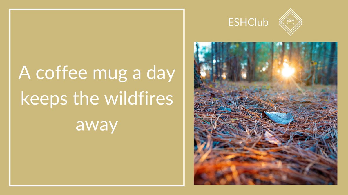 From pine needles to eco-friendly coffee mugs, preventing wildfires: Vasshin Composites is an excellent example of sustainable business.
  
Read more: eshclub.com/post/a-coffee-…

#sustainableinnovation #hospitalitytips #sustainablehospitality #circulareconomy