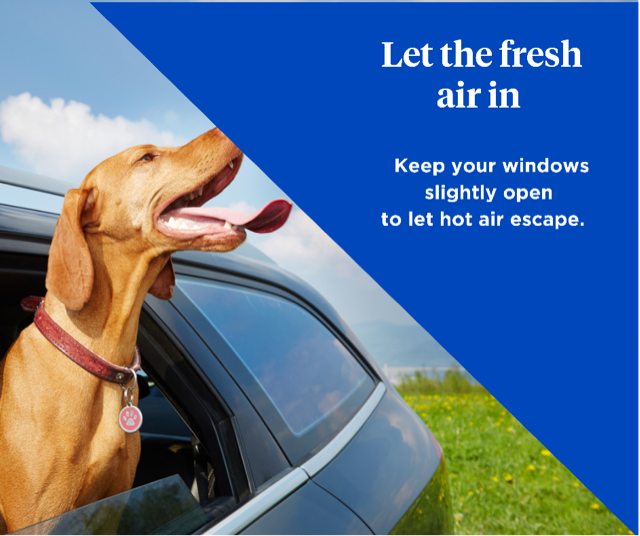PlattInsurance tweet picture
