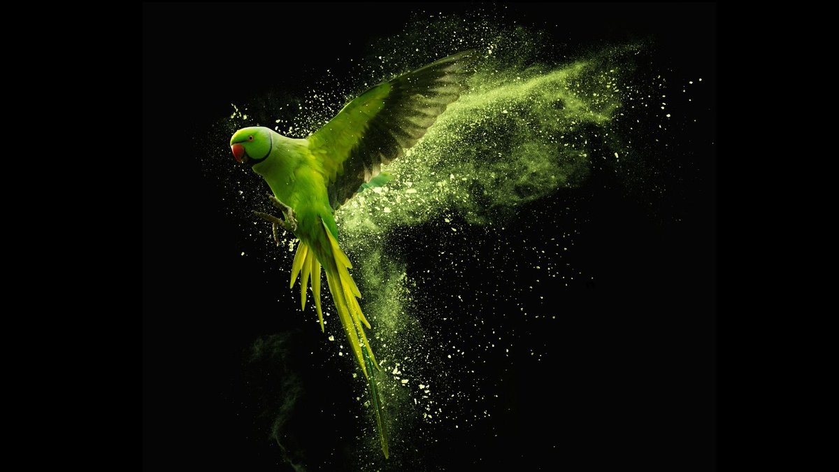 Hyundai h-led43fu7004. Hyundai h-led43eu7008 2019 led, hdr. Lg 43nano756. H led43bu7009 43. Hyundai h-led50fu7001.