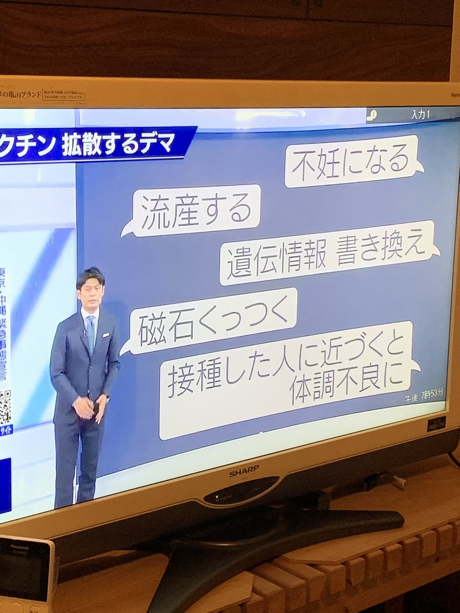 竹田動物病院 症例報告