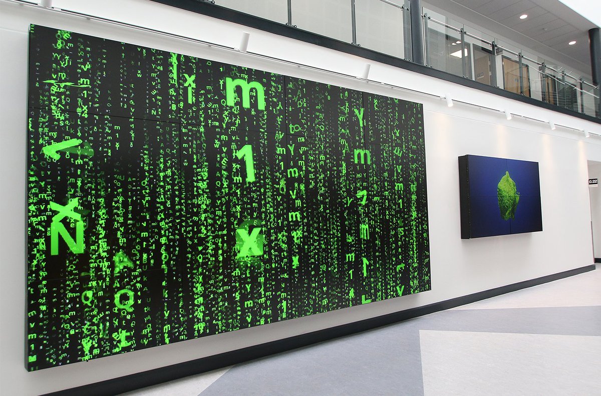 GVAV Ltd tweet media