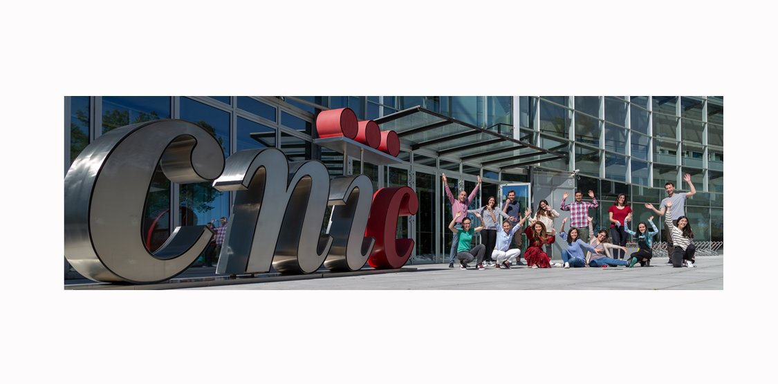 RuiBenedito_'s tweet photo. We are looking for 1 PhD student and 1 Post Doctoral researcher with an interest in cardiovascular biology and disease. Projects will involve new mouse models, live imaging, single cell lineage genetic barcoding and scRNAseq. 
We wellcome you with the arms wide open ! https://t.co/1Cxyr5WNNH