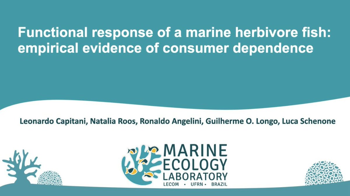 MarineEcoBR's tweet image. Interested in #herbivory #functionalresponse? Come see Leonardo Capitani´s talk at @ICRS2021 - “Functional response of a marine herbivore fish: empirical evidence of consumer dependence”. Next Monday, 19 July (Stream 2) at 10:15AM (CEST). Watch out for the timezone!