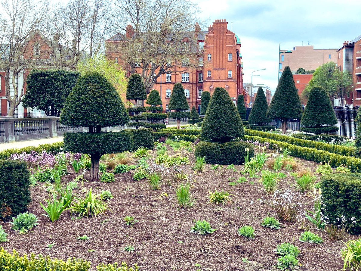 HughGillanders's tweet photo. Kudos to the park’s division of @DubCityCouncil - been watching work on this section of St Patrick’s Park for months and it’s now in its full glory - and the park is an incredible amenity, a garden to so many of us living in the area #parks #dublin #stpatick #Neighbours https://t.co/HUWOncMUCQ