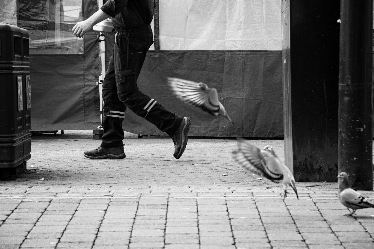 Jbushellphoto's tweet photo. My "specialty" shall we call it is actually in #Urban #wildlife &amp; #streetphotography https://t.co/fpYhhq38zV