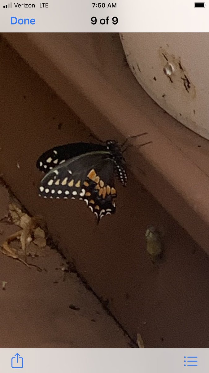 KindnessMatters@LivSchools tweet media