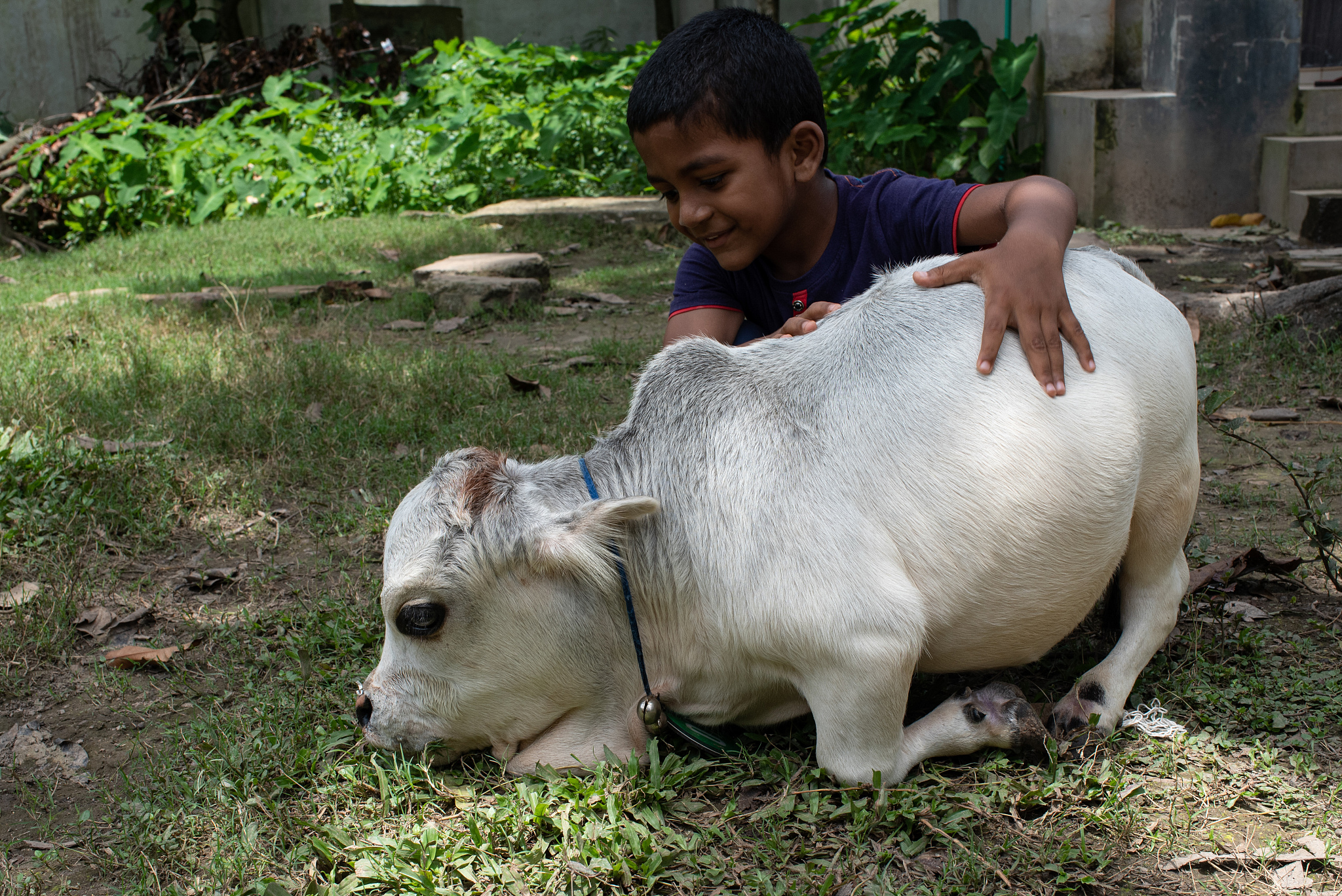 E6VebzhVEAMBQV4?format=jpg&name=large