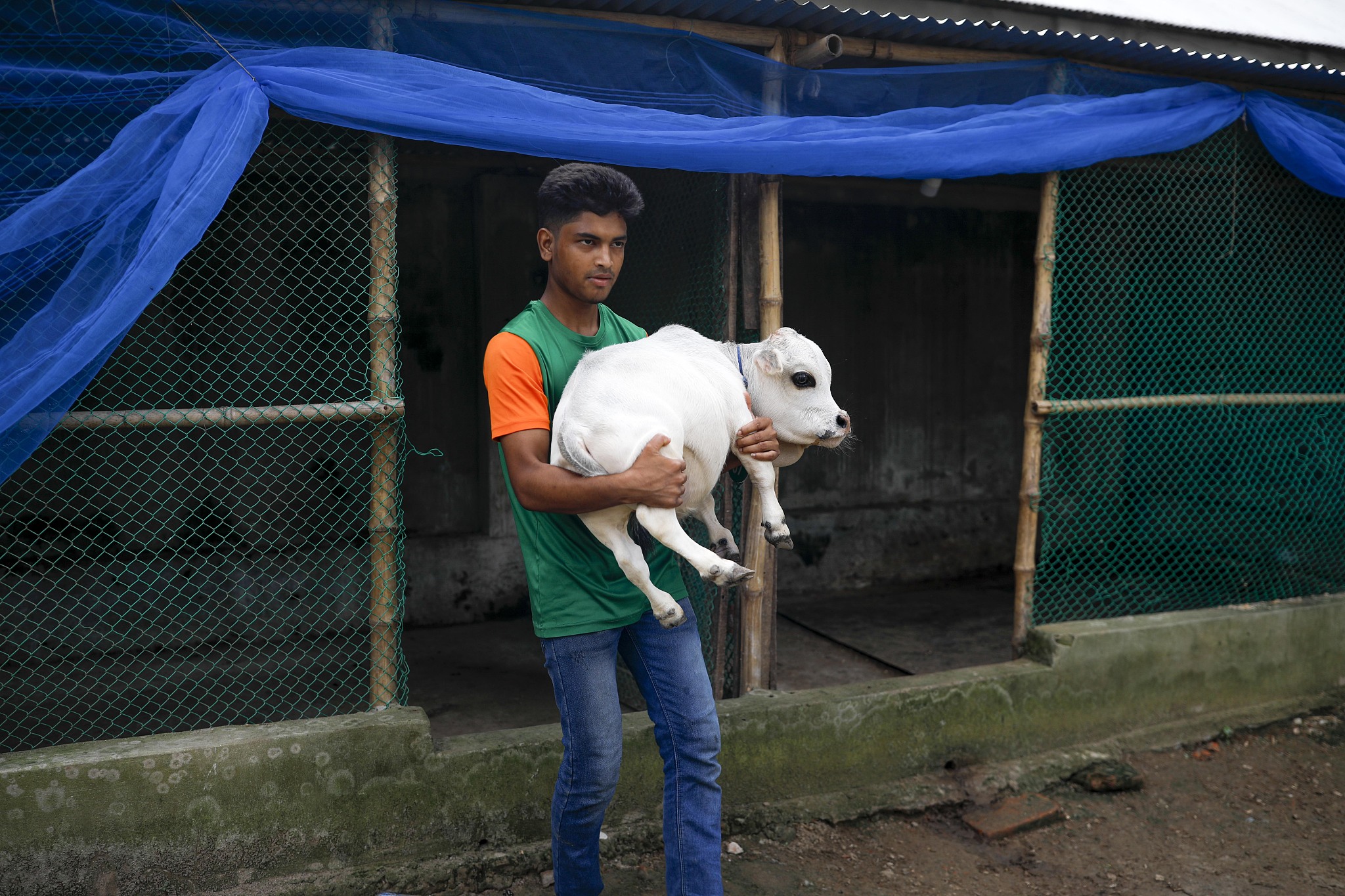 E6VebzjVEAMXbGD?format=jpg&name=large