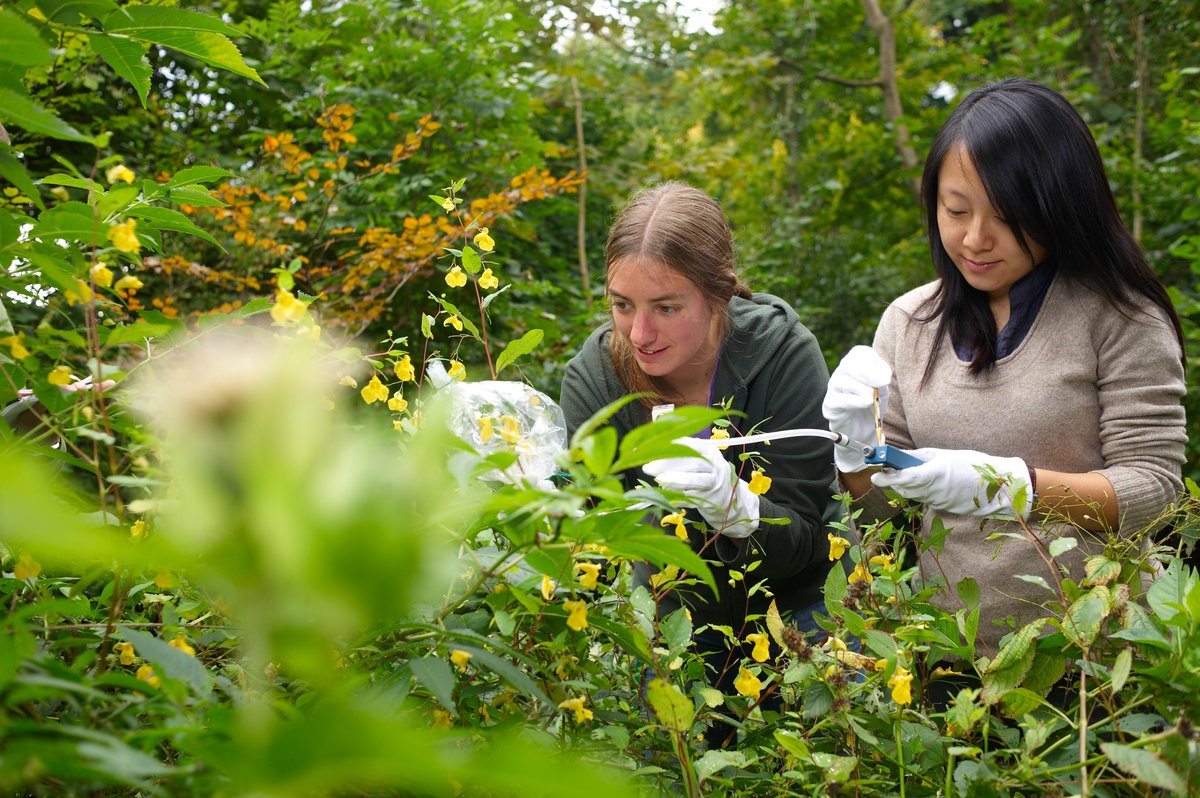 snf_ch's tweet photo. Mit einem Forschungsaufenthalt im Ausland das Wissen vertiefen, die Unabhängigkeit vergrössern und das wissenschaftliche Profil schärfen: 182 weitere Postdoktorierende erhalten diese Möglichkeit dank einem Mobilitätsstipendium des SNF. #PostdocMobility
https://t.co/vQtYHeHscL https://t.co/gDZ3EPx8I0