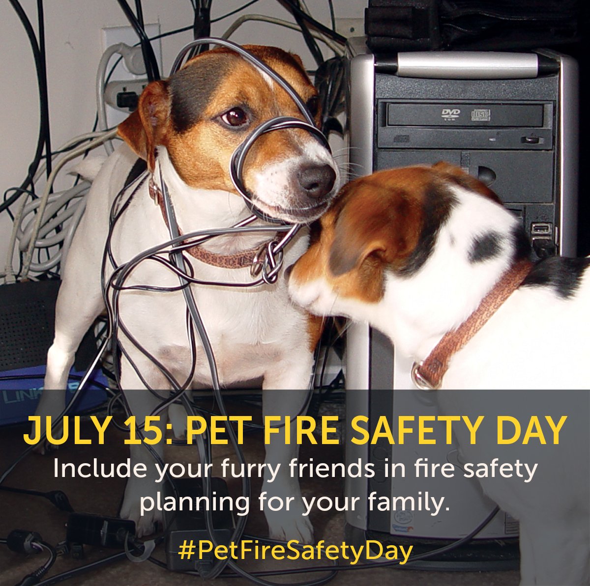 Carteret-Craven Electric Co-op tweet media