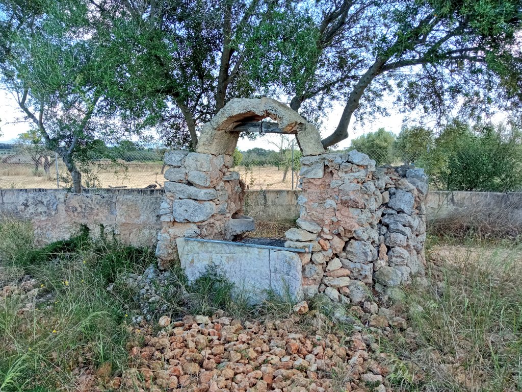 andreucaballero's tweet photo. Des d'@incaciutat hem iniciat els treballs per catalogar el pou de Can Pere Frare. Agraesc als veïns que ens hagin alertat del seu estat d'abandonament i que ens hagin aportat informació. La passa següent serà recuperar el pou i el seu entorn. #PatrimoniInquer #VisitInca https://t.co/4az8oWPqSF
