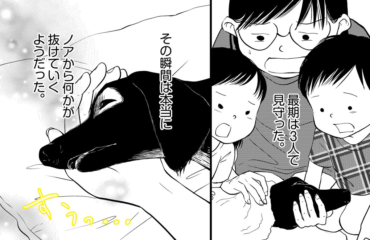 子供たち、初めて「死」に触れる。(1/2)

しんじゅくノート
みこまる家族 第47話
#漫画が読めるハッシュタグ 
#子育て漫画 
#コルクラボマンガ専科 