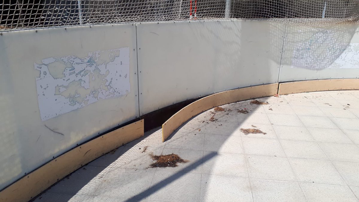 Barcelona Tsunamis tweet media