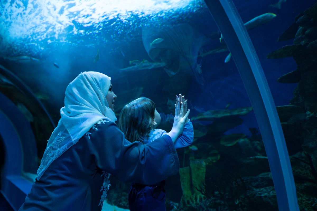 VisitSaudi's tweet photo. Looking for a fun activity for all the family in Jeddah? We've got just the ticket! Visit Fakieh Aquarium, where the 200-plus species of marine life are guaranteed to amaze children of all ages. 🤩🐠
#VisitSaudi #SaudiCities https://t.co/8zCOxi5EI7