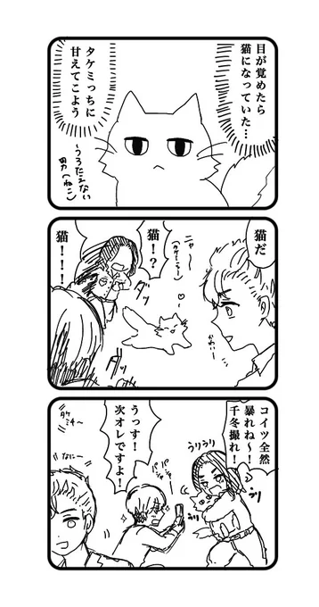 ねこのマイ武落書きです 