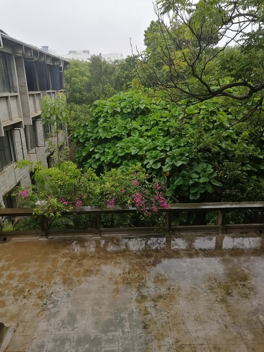 Suresh Bhagavatula tweet media