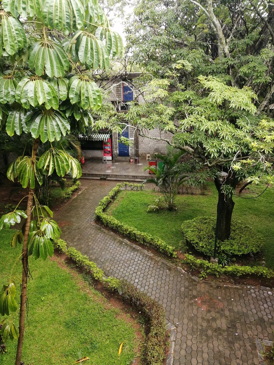 Suresh Bhagavatula tweet media