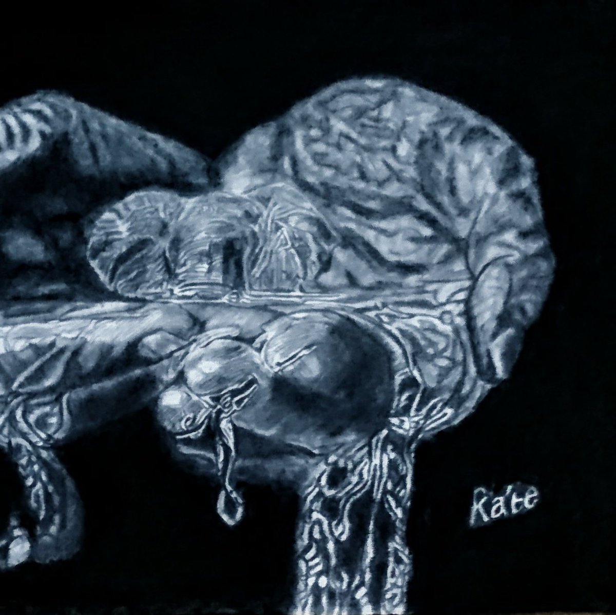 Kateyentha's tweet image. #NewProfilePic