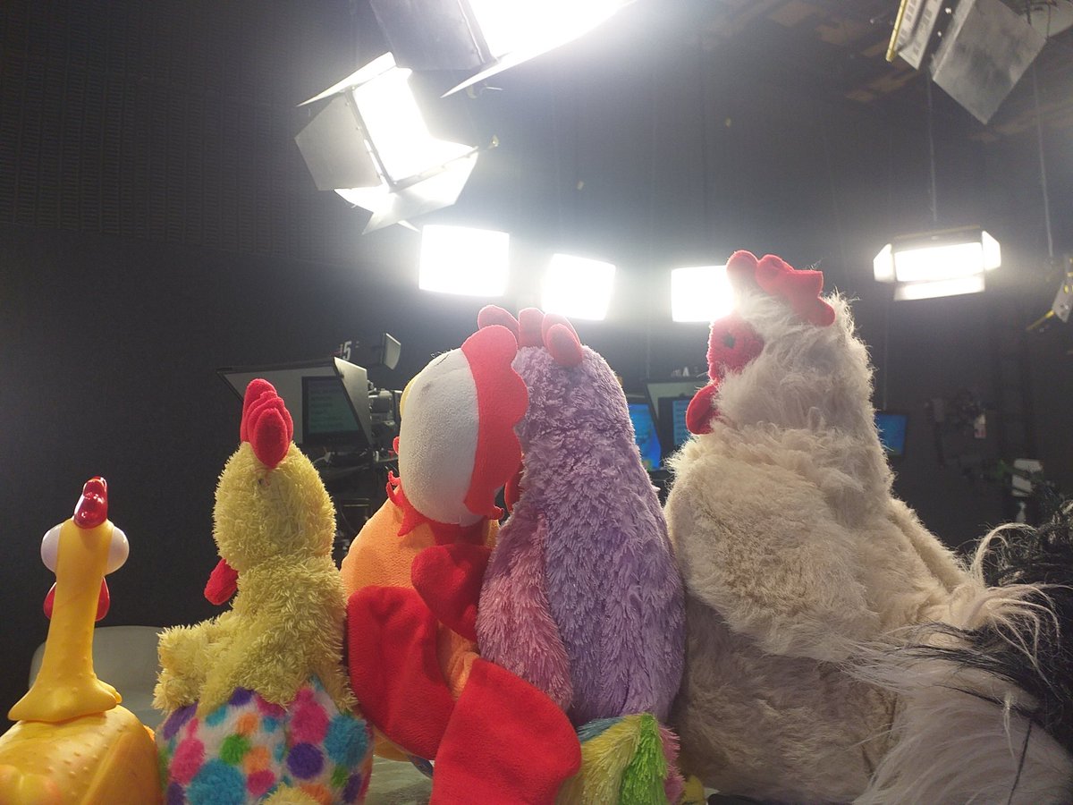gallitorogel's tweet photo. NOTIGALLO de Telever ¡Antes que le cante el Galloooo! 6 a 7 a.m.
¡Veeeenga! https://t.co/rgxmsK9Lou