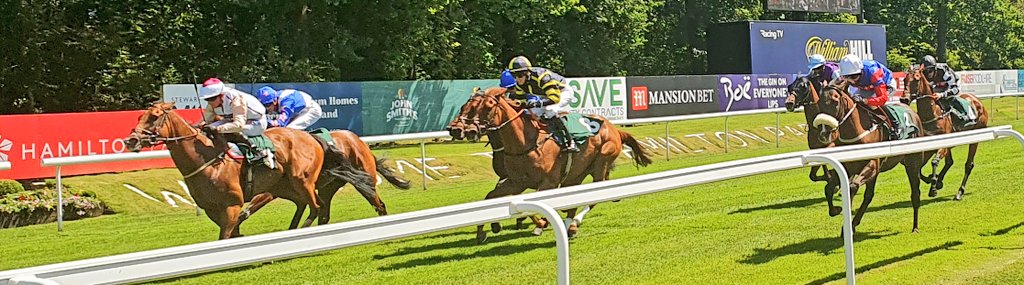 haywardsport's tweet photo. 59.05 seconds is all it took for #debawtry to win the second race @HamiltonParkRC for @shaw_harrison @BryanSmartRacin @AkebarPark1 https://t.co/YHondlxELU