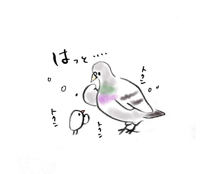 鳩だけにはっ…(と)
(くだらなくてすみません) 